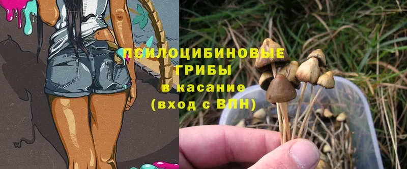 нарко площадка клад  Лукоянов  Псилоцибиновые грибы MAGIC MUSHROOMS 