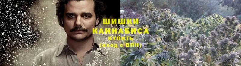 Конопля Ganja  где найти   мориарти официальный сайт  Лукоянов 